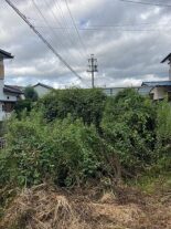 三田洞　草刈before