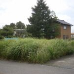 岐阜市草刈り前