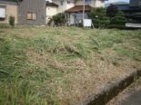 岐阜市草刈り後